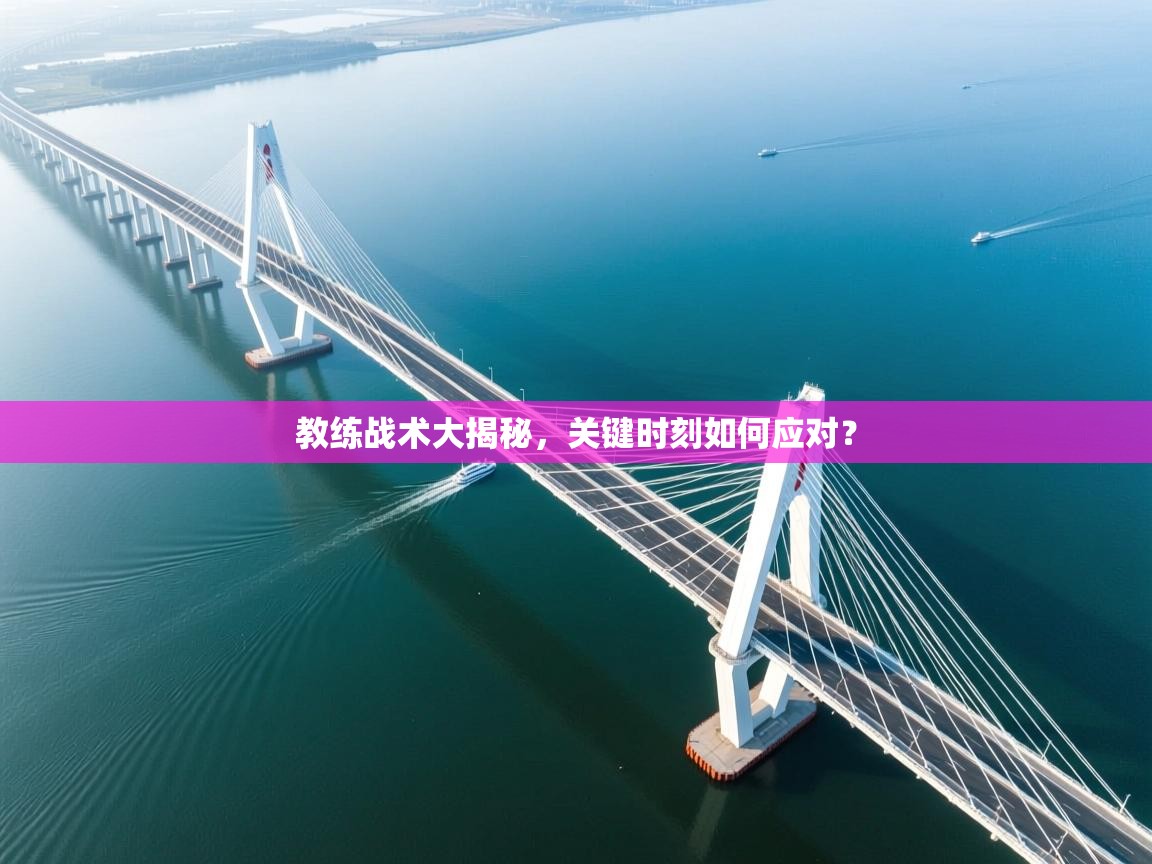 教练战术大揭秘,关键时刻如何应对? 第2张