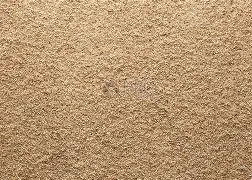 沙尔克04遭遇困境,情怀难抑 沙尔克04遭遇困境,情怀难抑